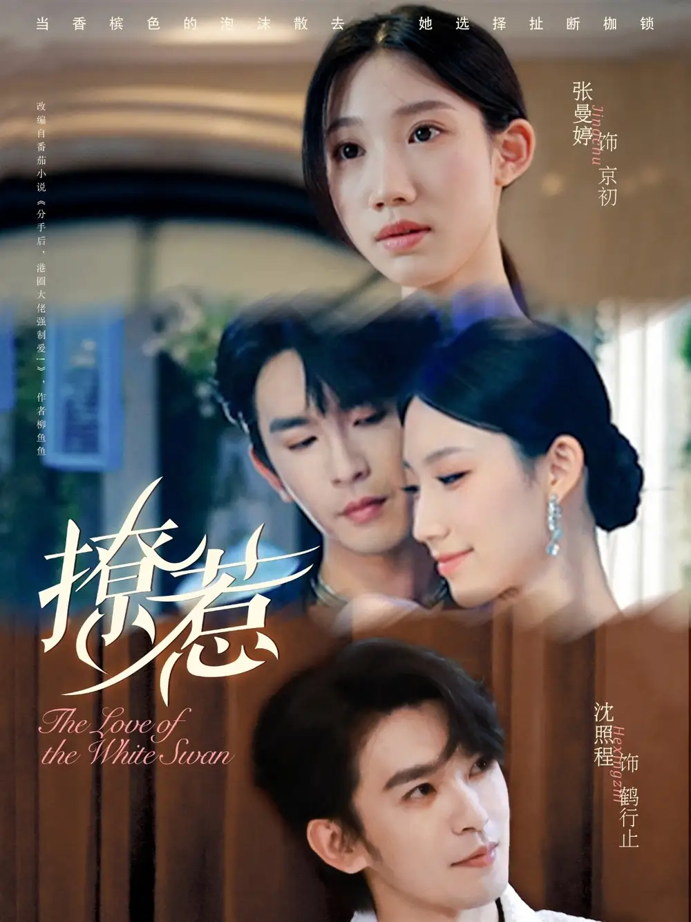 短剧《撩惹》高清完整版全集免费在线观看