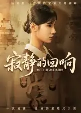 寂静的回响（62集）夏炎海报