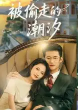 短剧《被偷走的潮汐》高清完整版全集免费在线观看