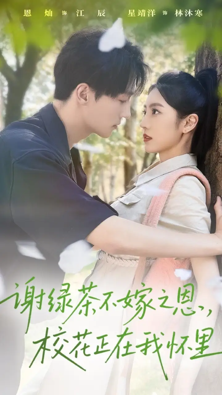 短剧《谢绿茶不嫁之恩校花正在我怀里》高清完整版全集免费在线观看