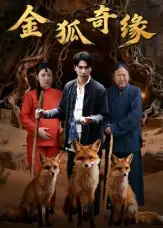 短剧《金狐奇缘》高清完整版全集免费在线观看