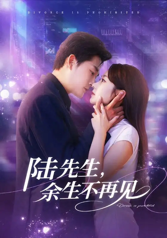 短剧《陆先生，余生不再见》高清完整版全集免费在线观看