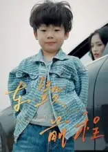 短剧《车毁前程》高清完整版全集免费在线观看