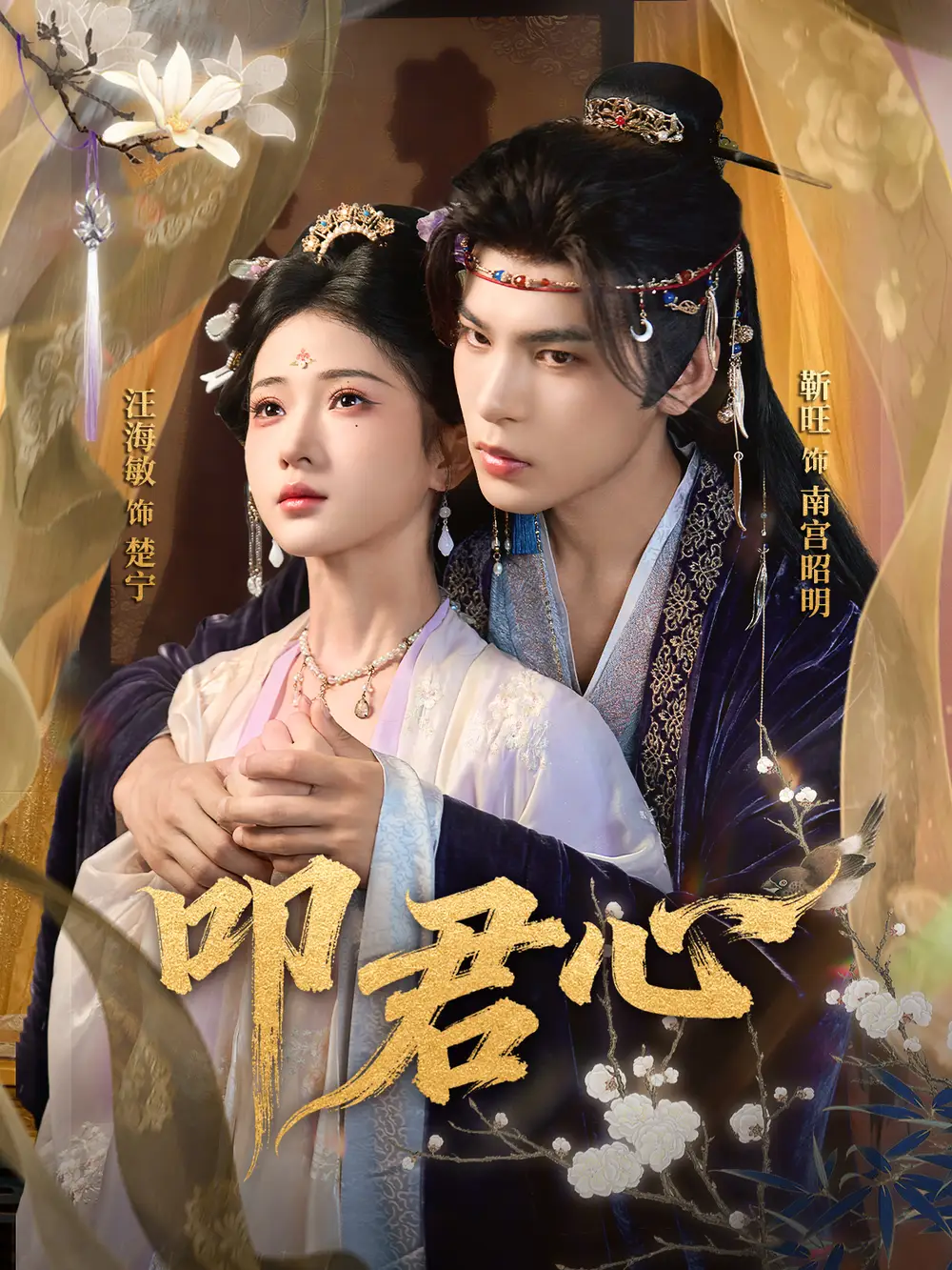 叩君心（64集）靳旺＆汪海敏海报