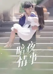 短剧《暗夜情事》高清完整版全集免费在线观看