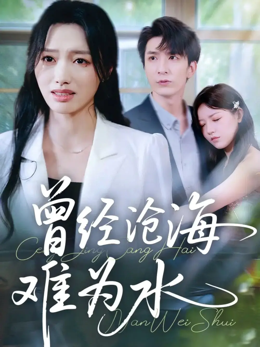 曾经沧海难为水（60集）韩旭&王梦佳海报