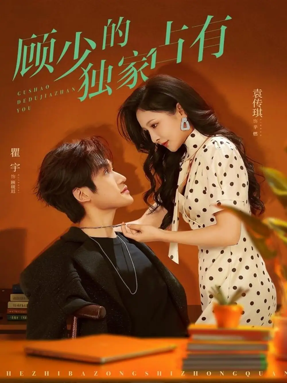 顾少的独家占有(66集)袁传琪&瞿宇高清海报图片 顾少的独家占有(66集)袁传琪&瞿宇海报