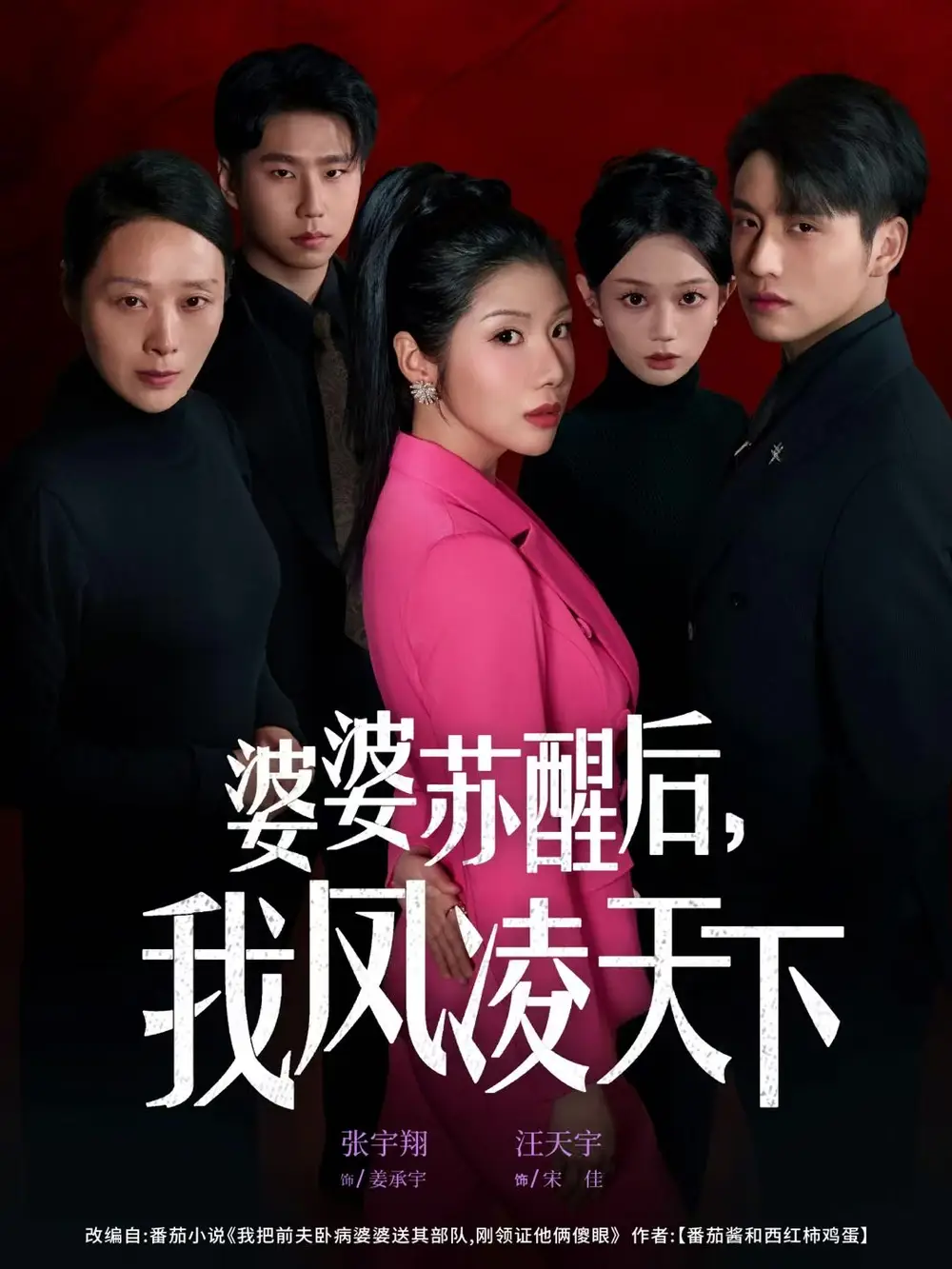 婆婆苏醒后,我凤凌天下(60集)张宇翔&汪天予高清海报图片 婆婆苏醒后,我凤凌天下(60集)张宇翔&汪天予海报