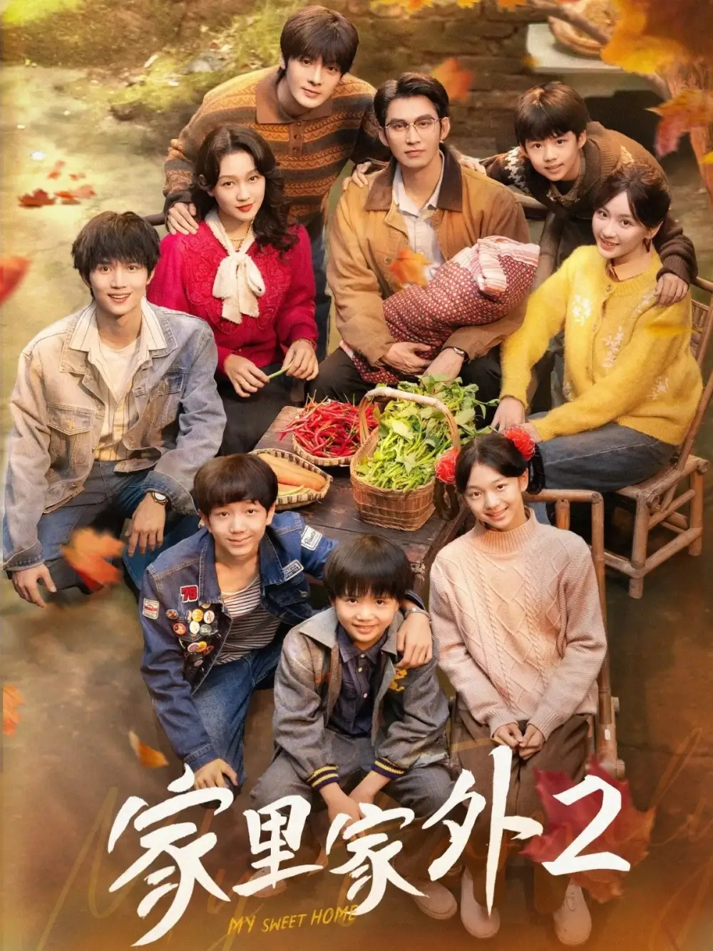 短剧《家里家外2》高清完整版全集免费在线观看