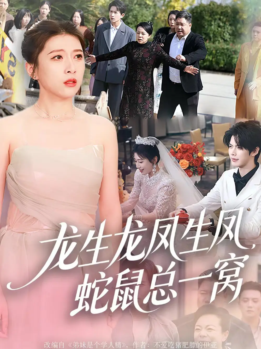 短剧《龙生龙凤生凤，蛇鼠总一窝》高清完整版全集免费在线观看